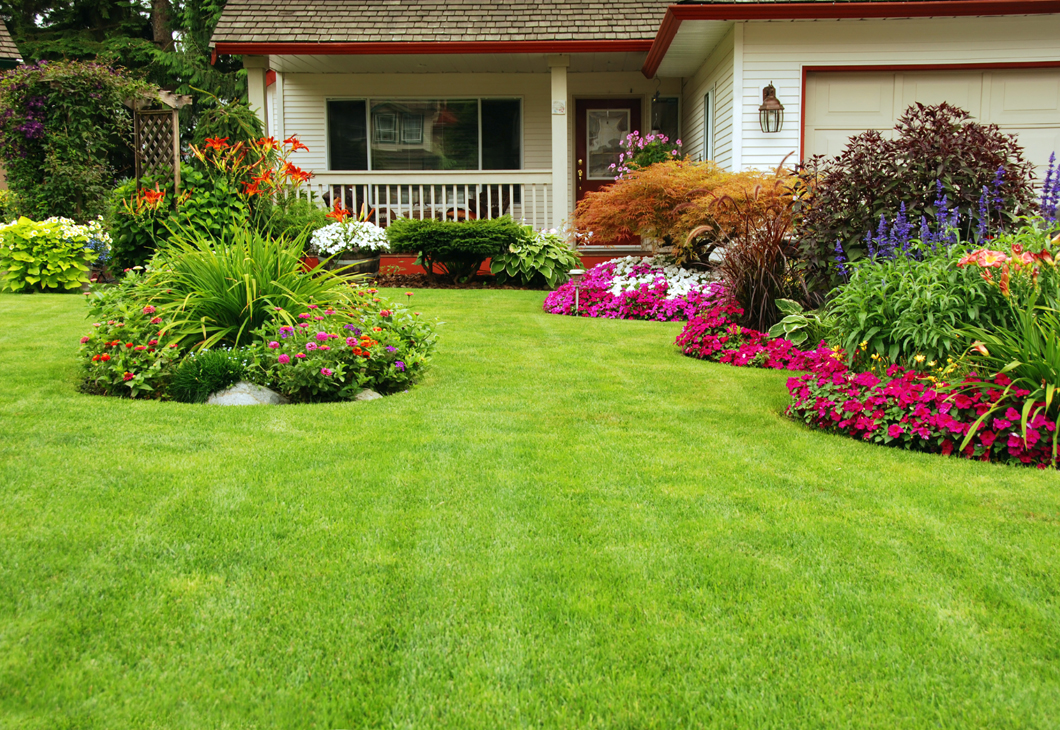 landscaping services westminster co